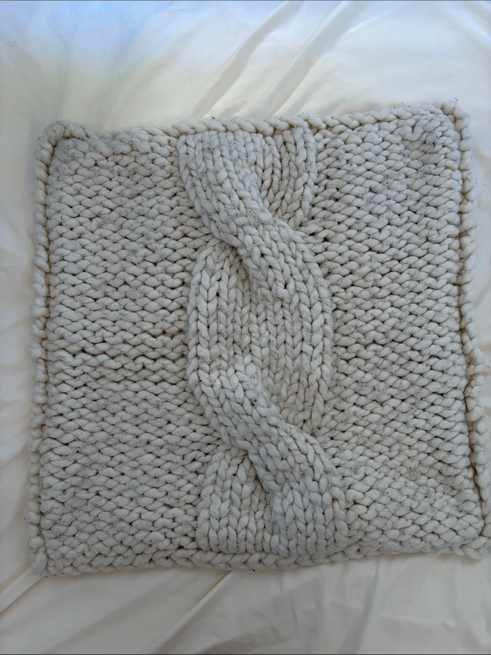 Crate&Barrel Cozy Knit Cable Throw Pillow Cover in Ivory - Set of 2